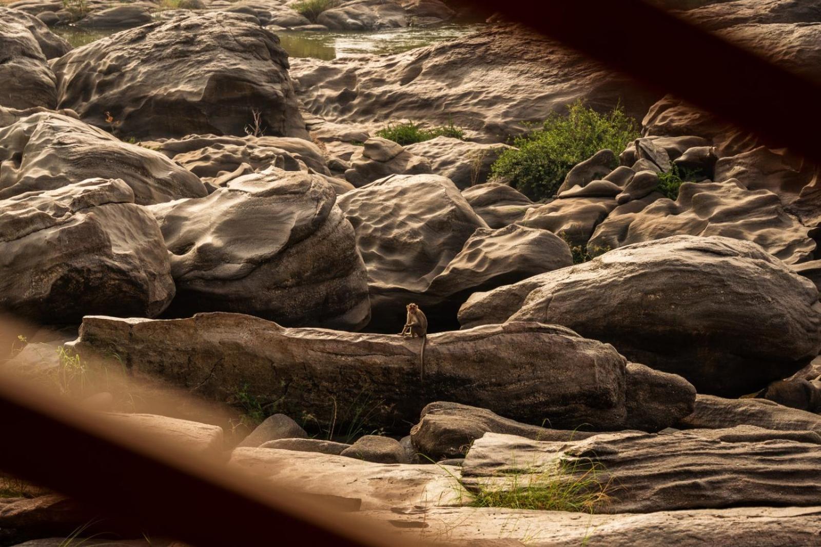 Leo Woods Hampi River View Hotel Kültér fotó